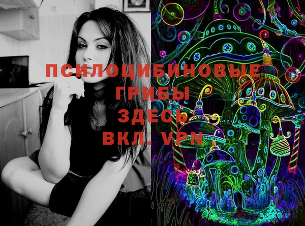 стафф Нестеровская
